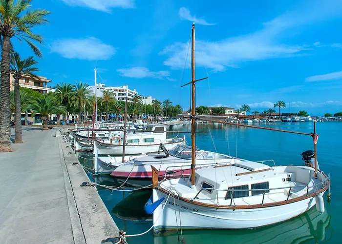 Owl Esteva - Family And Friends Pollença