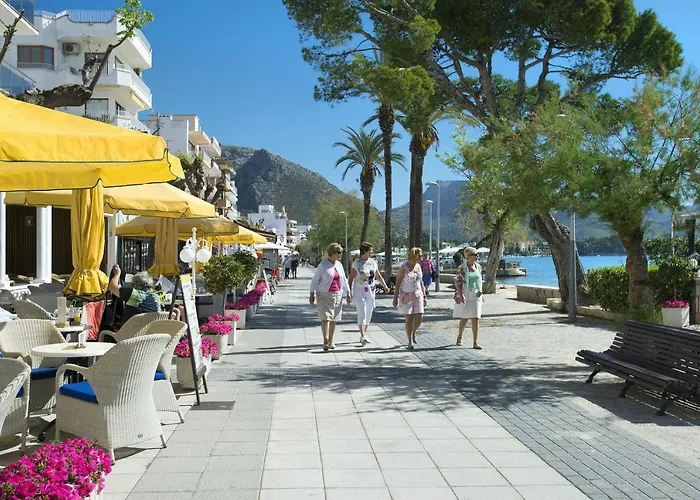 Owl Esteva - Family And Friends Pollença