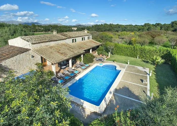 Owl Esteva - Family And Friends *