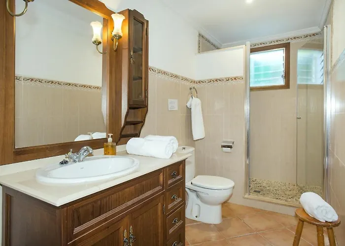 Owl Esteva - Family And Friends Pollença