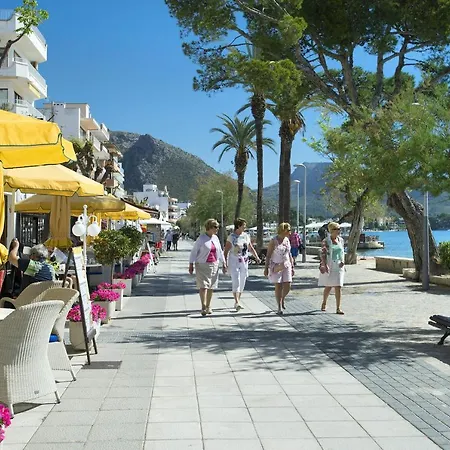 Owl Esteva - Family And Friends Pollensa