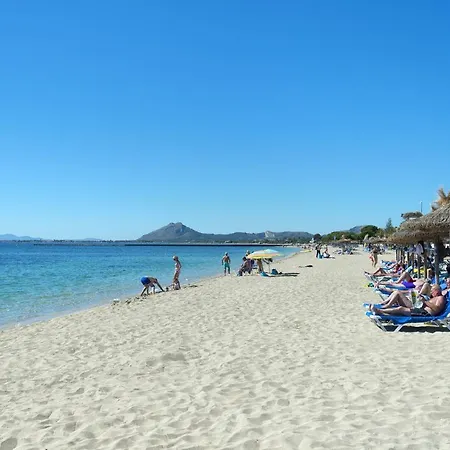 Willa Owl Esteva - Family And Friends Pollensa