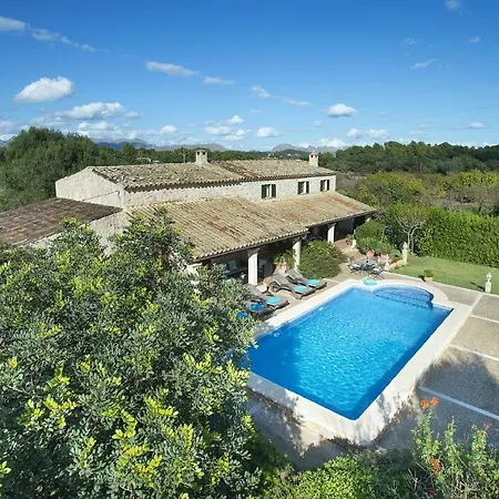 Willa Owl Esteva - Family And Friends Pollensa