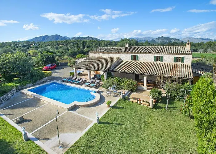 Owl Esteva - Family And Friends Willa Pollensa