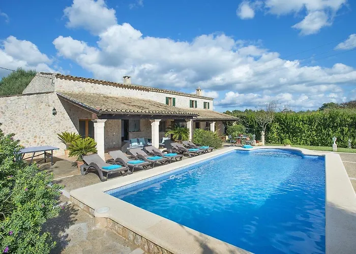 Owl Esteva - Family And Friends * Pollensa