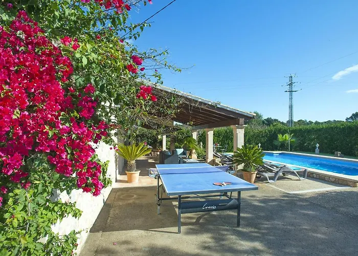 Owl Esteva - Family And Friends *