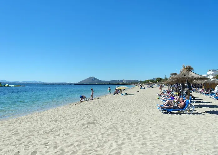 Willa Owl Esteva - Family And Friends Pollensa