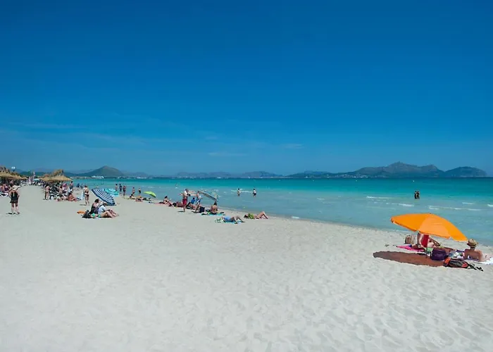 Owl Esteva - Family And Friends Willa Pollensa